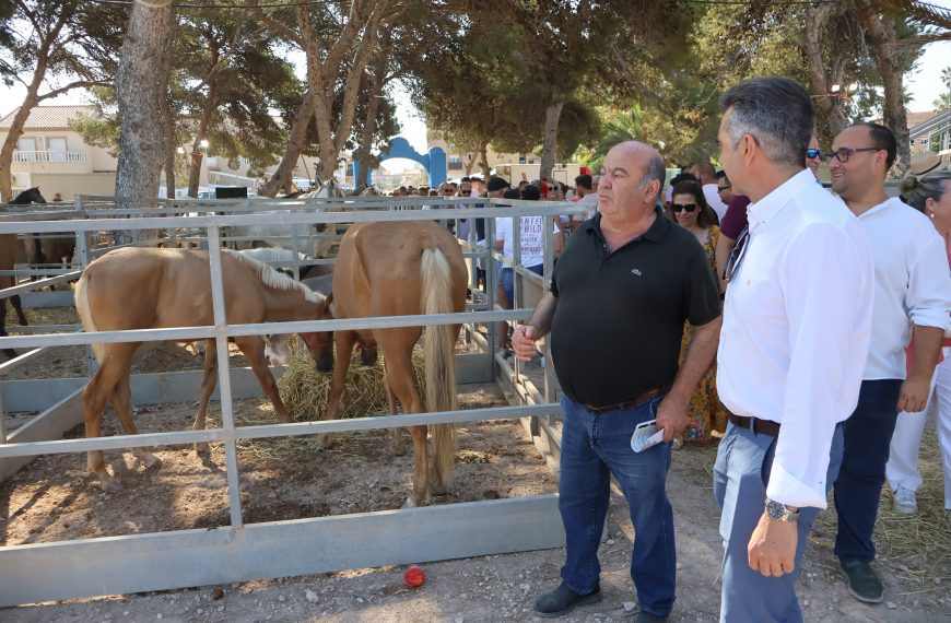 La CCXXVII Real Feria del Ganado reúne a más de una veintena de ganaderos en San Pedro del Pinatar 