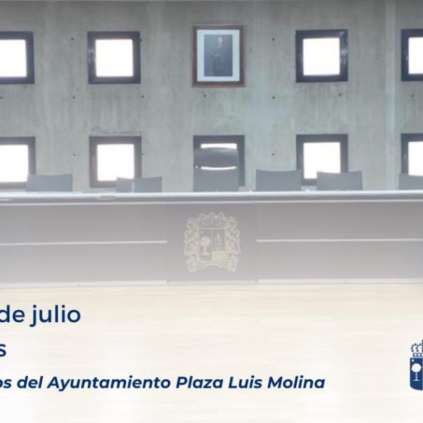 Pleno ordinario del mes de julio de 2025