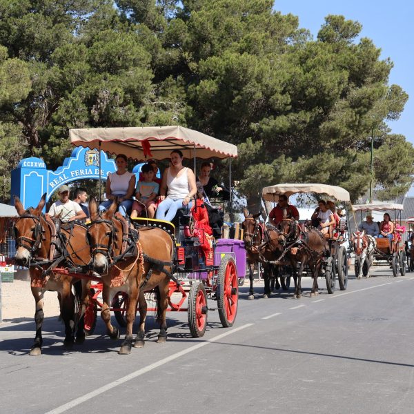 XXX Encuentro de Carruajes «Villa de San Pedro», enmarcado en las Fiestas Patronales