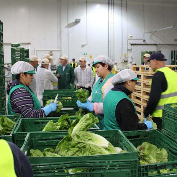 Camposeven impulsa la innovación agraria desde San Pedro del Pinatar