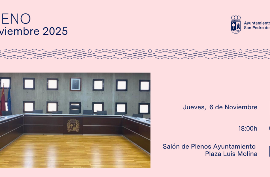 Pleno de noviembre 2025