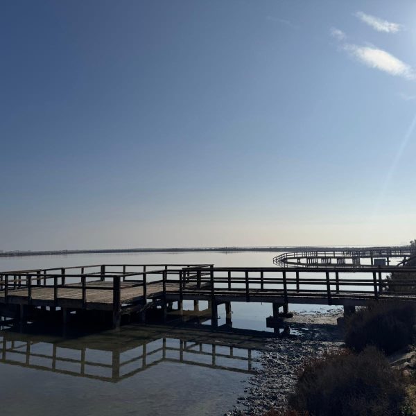 El Ayuntamiento renovará íntegramente las plataformas de los Baños de Lodo