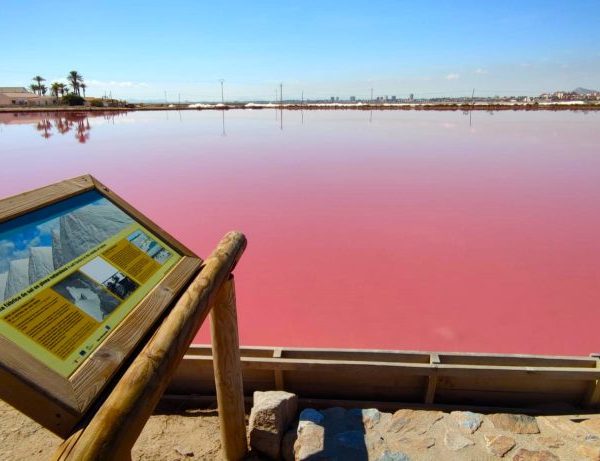 San Pedro del Pinatar se llena de vida: procesiones, cultura, deporte y mar protagonizan la Semana Santa