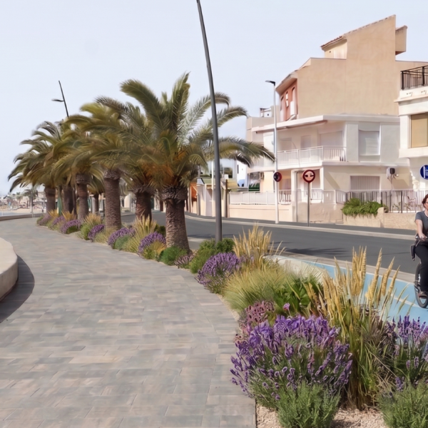 San Pedro del Pinatar renaturalizará y reformará los carriles bici del paseo marítimo
